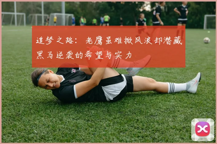 追梦之路：老鹰虽难掀风浪却潜藏黑马逆袭的希望与实力