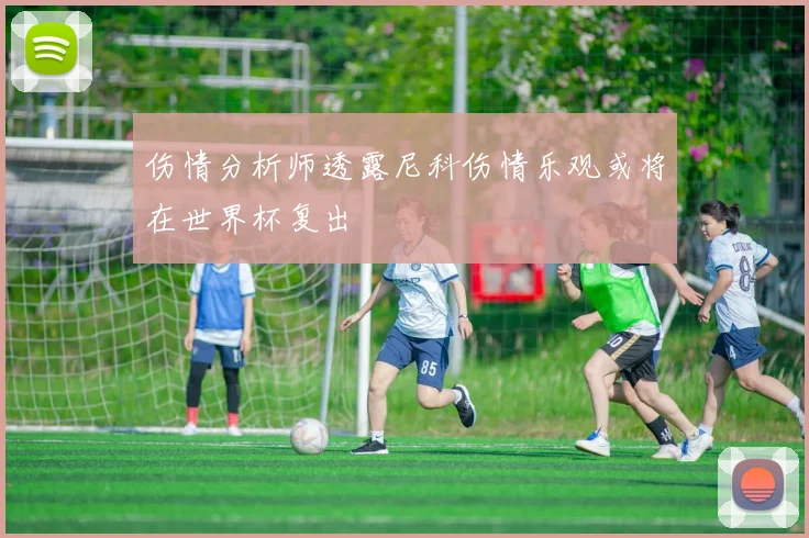 伤情分析师透露尼科伤情乐观或将在世界杯复出
