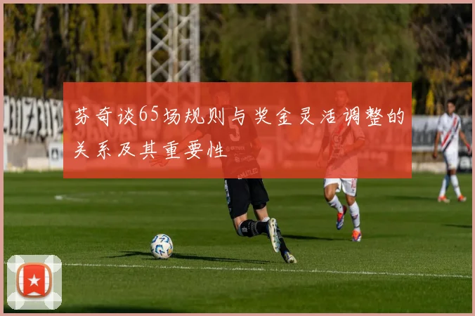 芬奇谈65场规则与奖金灵活调整的关系及其重要性